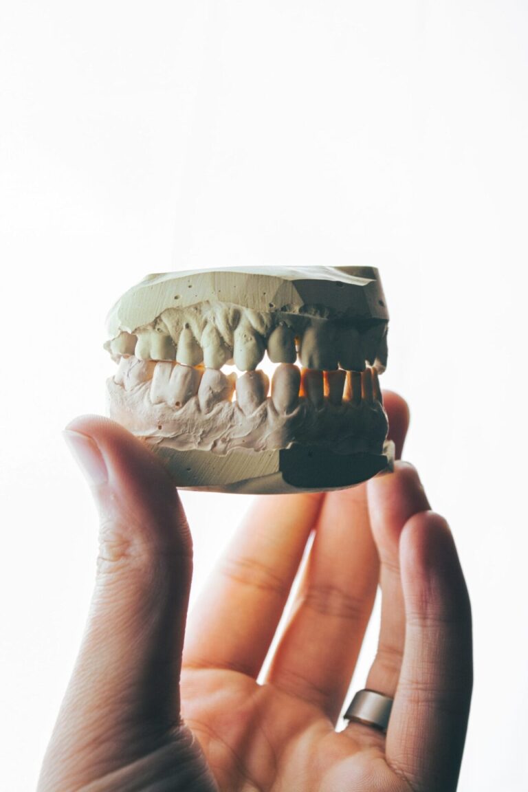 someone holding a fake tooth with a missing jaw in their hand