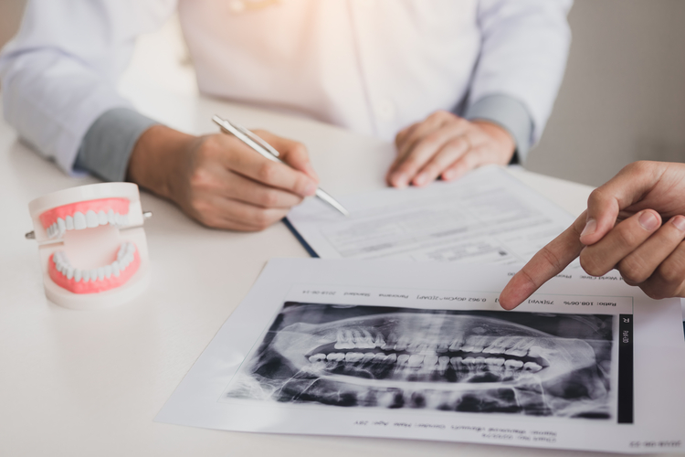 someone pointing at a dental chart with a pen and a toothbrush